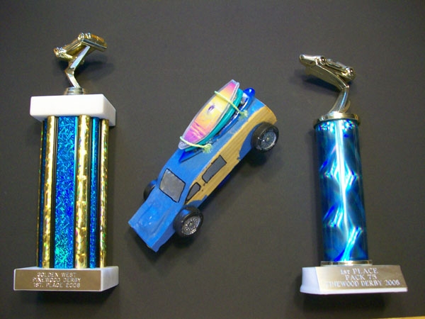 About Our Completed Pinewood Derby Cars